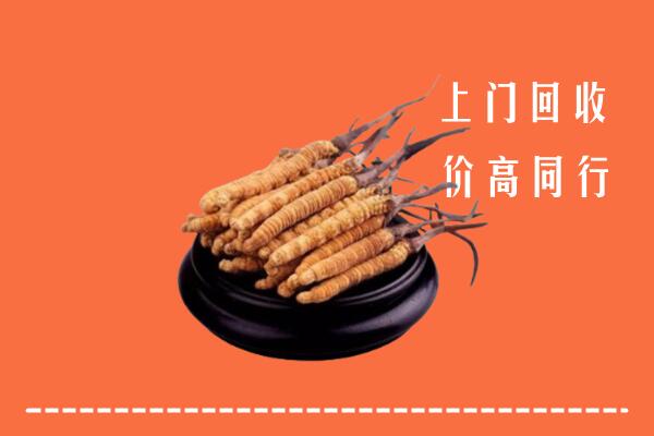高价求购：楚雄州双柏县回收散虫草